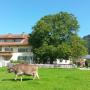 Vidiecke domy - Rettenberg, Sägerhof Bader