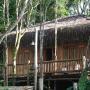 Penziony – hostince - Trancoso, Trancoso Jungle Lodge