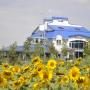 Hotely - Takhtaulove, Hotel Vivat Provincia