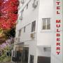 Hotels - Kalkutta, Hotel Mulberry