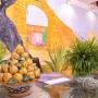Bed & Breakfasts - Agrigent, B&B Dimora di Girgenti