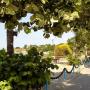 Ferienwohnungen - Chernomorets, Golden Fish Apartments