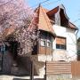 Penziony - Miškovec, Tulipán Vendégház