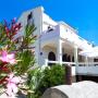 Apartmány - Pag, Villa Lavanda