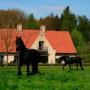 Bed and Breakfasts - Hertsberge, B&B Heerlijkhyd