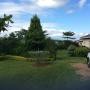 Turistaházak - Blantyre, Palm Valley Lodge