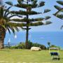 Aparthotels - Capo Vaticano, Residence La Meridiana