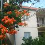 Apartments - Trebinje, Apartment Ranka