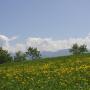 Vidéki vendégházak - Fai della Paganella, Agriturismo Girasole