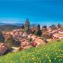Resorts - Ooty, Hotel Lakeview