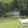 Case di campagna - Keswick, Ravenstone Lodge Country House Hotel