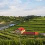 Pensionen - Turda, Sarea-n Bucate (Crama la Salina)