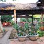 Hotel - Ben Tre, Thao Nhi Hotel