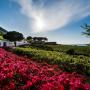Hotely - Malfa, Capofaro Locanda & Malvasia