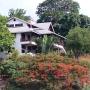 Apartmány - Buccoo, The Nest Tobago Apartments