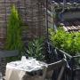 Apartmanok - Nîmes, Une âme à Nîmes : coté cour