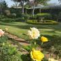 Affittacamere - Pretoria, Royal Ridge Guesthouse