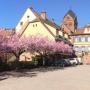 Hotely - Neuwiller-lès-Saverne, Hôtel Du Herrenstein