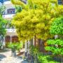 Resorts - Weligama, Castle Bay Resort