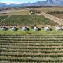 Penzióny - Paarl, Paddabult Self Catering Cottages