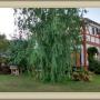Chaty v prírode - Colón, Bavarian Suites