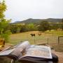 Bed & Breakfasts - Gruyere, Grevillea Rise
