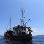 Botely - Sliema, Boat MS Cutty Jean
