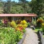 Lodge - Bijagua, Nacientes Lodge