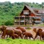 Chaty v prírode - Nyeri, The Ark Lodge