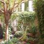 Hotel - Piolenc, Auberge de l'Orangerie