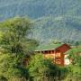 Fogadók - Novi Afon, Mandarin Pension