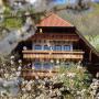Apartmánové hotely - Bad Peterstal-Griesbach, Ehrenmättlehof Faißt