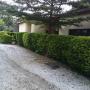 Vendégházak - Lusaka, Zebra Guest House