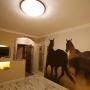 Rezorty - Izsák, El Bronco Ranch Resort and Spa