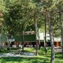 Szállodák - Venzone, Hotel Carnia