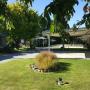Motels - Owaka, Catlins Area Motel