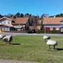 Apartmány - Juodkrantė, Butas Prie Marių
