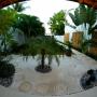 Ferienwohnungen - Zihuatanejo, Casa Luz de Luna