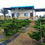 Homestays - Hengchun, Nature Garden Homestay