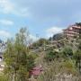Bed and breakfasts - Shimla, Shimla View Home