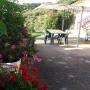 Panziók - San Teodoro, B&B Bandi