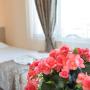 Гостевые дома - Несебр, Atavel Guest House