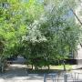 Hostels - Omsk, Mini Hostel Wanderer