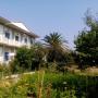 Pensionen - Skala Eresou, Guesthouse Karidia