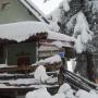 Vendégházak - Jahorina, Greenhouse