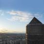 Отели - Лион, Radisson Blu Hotel, Lyon