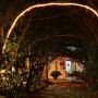 Hostely - Bucaramanga, Hostal Chitota