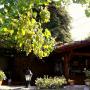 Affittacamere - Sighnaghi, Guest House Kusika