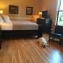 Мини-гостиницы - Painesville, Steele Mansion Inn & Gathering Hub