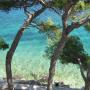 Penziony - Korčula, Apartments & Room Nina